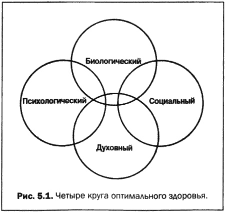 Иллюстрация к книге — Великолепный мозг в любом возрасте [img15.jpg]