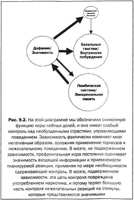 Иллюстрация к книге — Великолепный мозг в любом возрасте [img18.jpg]