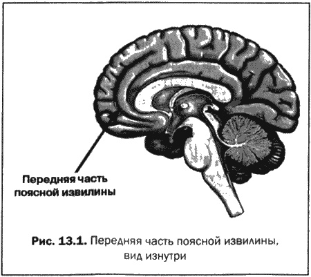 Иллюстрация к книге — Великолепный мозг в любом возрасте [img21.jpg]