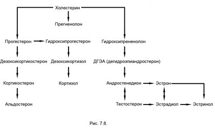 Иллюстрация к книге — Измени свой мозг - изменится и тело! [i_030.jpg]