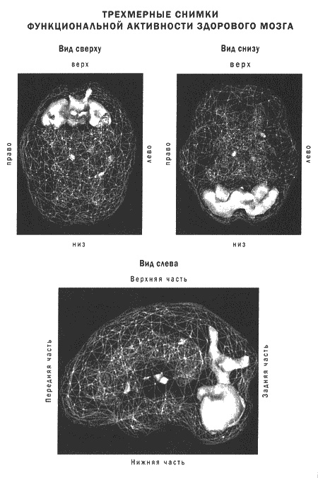 Иллюстрация к книге — Мозг и душа. Новые открытия о влиянии мозга на характер, чувства, эмоции [i_003.jpg]