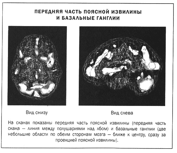 Иллюстрация к книге — Мозг и душа. Новые открытия о влиянии мозга на характер, чувства, эмоции [i_011.jpg]