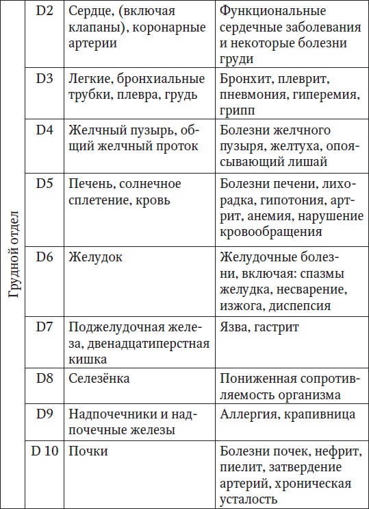 Ваш здоровый позвоночник