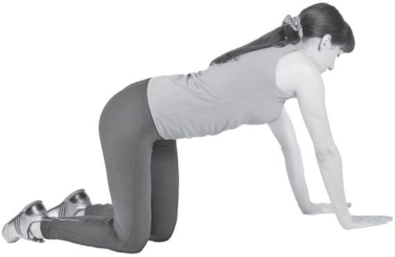 Иллюстрация к книге — Здоровые ноги до 100 лет [Autogen_eBook_id31.jpg]