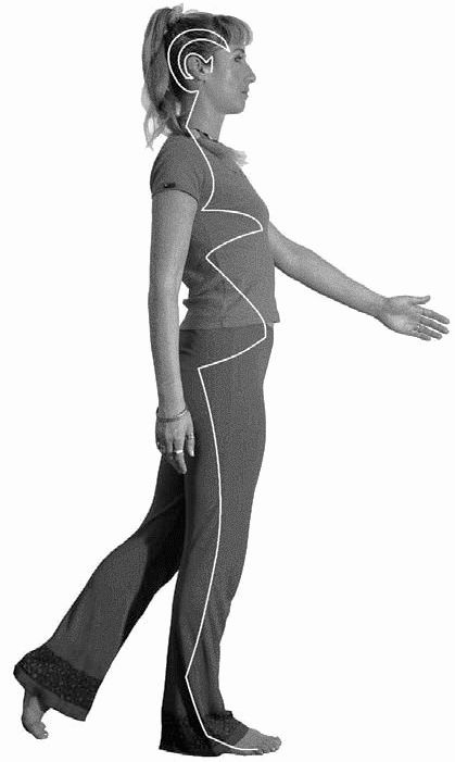 Иллюстрация к книге — Золотые китайские упражнения для здоровья и долголетия [Autogen_eBook_id0.jpg]