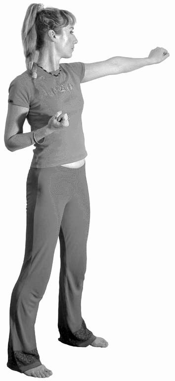 Иллюстрация к книге — Золотые китайские упражнения для здоровья и долголетия [Autogen_eBook_id10.jpg]