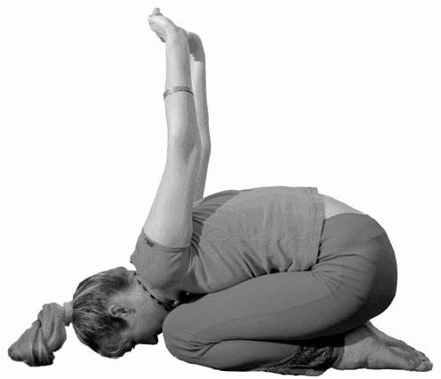 Иллюстрация к книге — Золотые китайские упражнения для здоровья и долголетия [Autogen_eBook_id16.jpg]