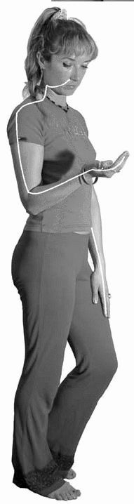 Иллюстрация к книге — Золотые китайские упражнения для здоровья и долголетия [Autogen_eBook_id26.jpg]