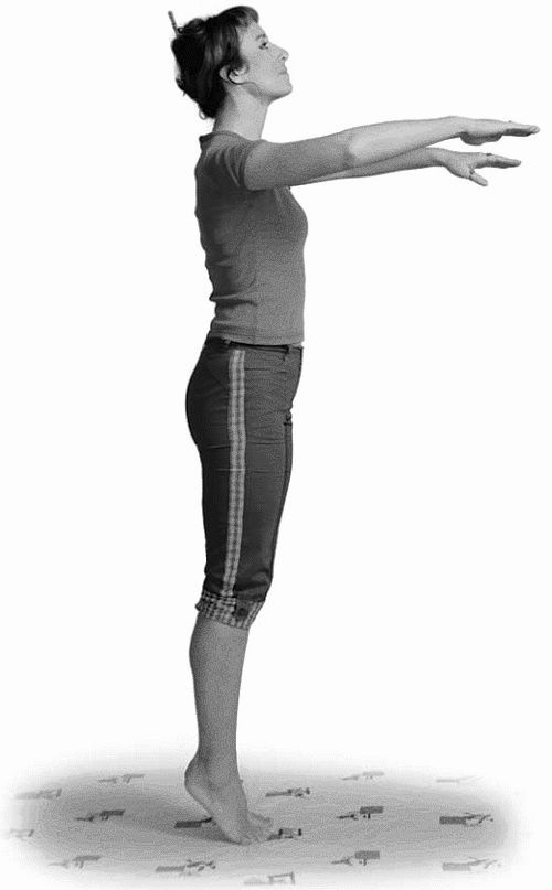 Иллюстрация к книге — Золотые китайские упражнения для здоровья и долголетия [Autogen_eBook_id48.jpg]