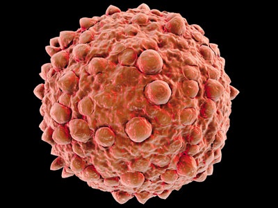 Иллюстрация к книге — О чем говорят анализы. Секреты медицинских показателей - для пациентов [i_004.jpg]