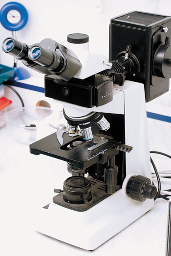 Иллюстрация к книге — О чем говорят анализы. Секреты медицинских показателей - для пациентов [i_013.jpg]