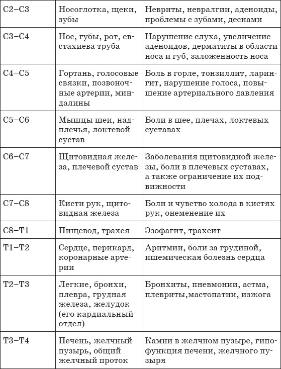 Иллюстрация к книге — Первая скрипка позвоночника. Революционная методика лечения остеохондроза [_14_.jpg]