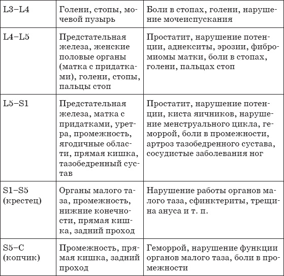 Иллюстрация к книге — Первая скрипка позвоночника. Революционная методика лечения остеохондроза [_14___.jpg]