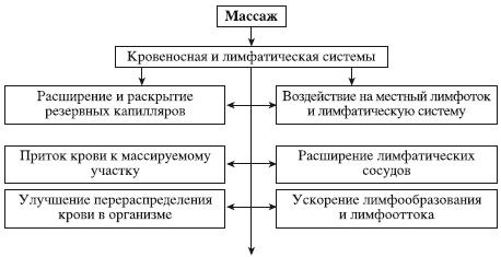 Иллюстрация к книге — Атлас профессионального массажа [i_111.jpg]