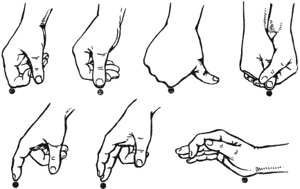 Иллюстрация к книге — Атлас профессионального массажа [i_162.jpg]