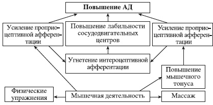 Иллюстрация к книге — Атлас профессионального массажа [i_287.jpg]