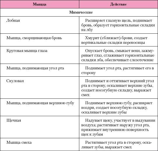 Иллюстрация к книге — Атлас профессионального массажа [i_298.jpg]