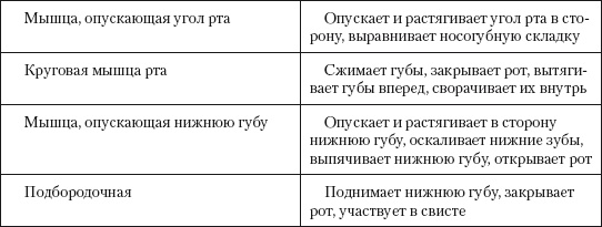 Иллюстрация к книге — Атлас профессионального массажа [i_299.jpg]