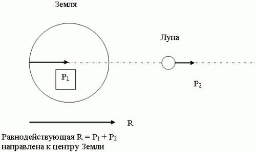 Иллюстрация к книге — Азимут вечной молодости. Программа энергетической коррекции и регенерации живых клеток [i_033.jpg]