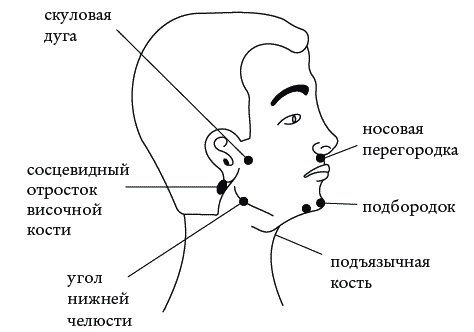 Иллюстрация к книге — Экстренная помощь при травмах, болевых шоках и воспалениях. Опыт работы в чрезвычайных ситуациях [_094.jpg]