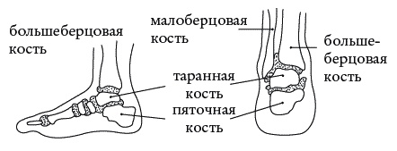 Иллюстрация к книге — Экстренная помощь при травмах, болевых шоках и воспалениях. Опыт работы в чрезвычайных ситуациях [_103.jpg]