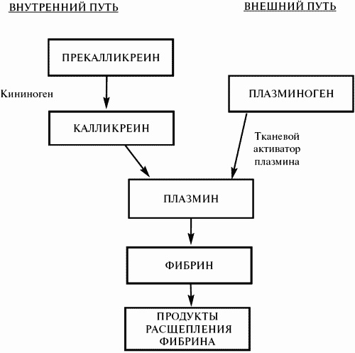 Иллюстрация к книге — Заболевания крови. Полный справочник [_086.jpg]