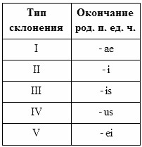 Иллюстрация к книге — Латинский язык для медиков. Конспект лекций [i_006.jpg]