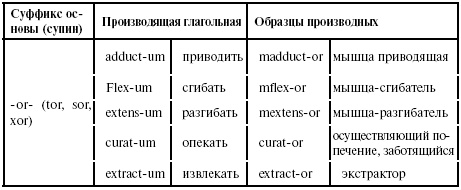 Иллюстрация к книге — Латинский язык для медиков. Конспект лекций [i_029.jpg]