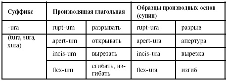 Иллюстрация к книге — Латинский язык для медиков. Конспект лекций [i_030.jpg]