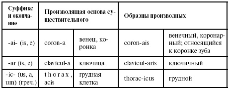 Иллюстрация к книге — Латинский язык для медиков. Конспект лекций [i_032.jpg]