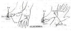 Иллюстрация к книге — Энергетическая медицина [_25.jpg]