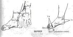Иллюстрация к книге — Энергетическая медицина [_29.jpg]