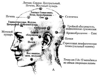 Иллюстрация к книге — Энергетическая медицина [_51.jpg]