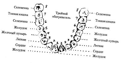 Иллюстрация к книге — Энергетическая медицина [_54.jpg]