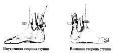 Иллюстрация к книге — Энергетическая медицина [_57.jpg]