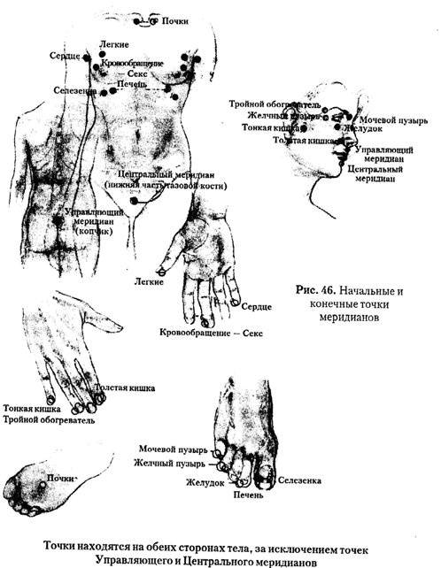 Иллюстрация к книге — Энергетическая медицина [_60.jpg]