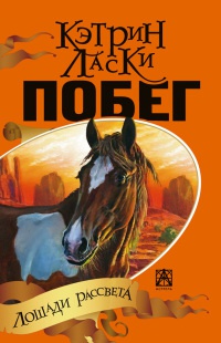Книга Побег
