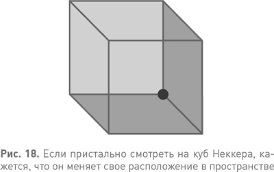 Иллюстрация к книге — Спотыкаясь о счастье [i_018.jpg]