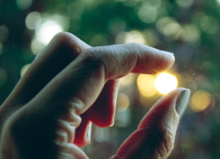 Иллюстрация к книге — Большая книга о счастье [i_013.jpg]