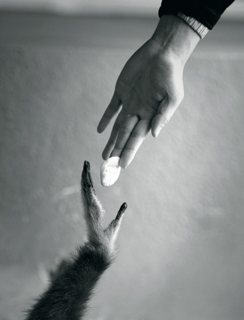 Иллюстрация к книге — Большая книга о счастье [i_024.jpg]