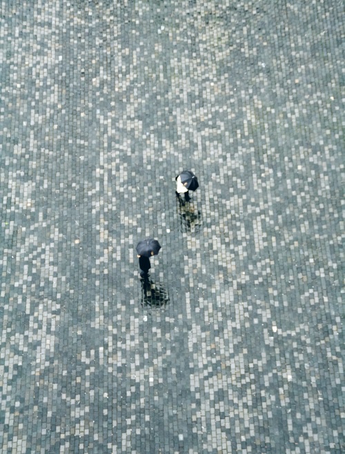 Иллюстрация к книге — Большая книга о счастье [i_025.jpg]