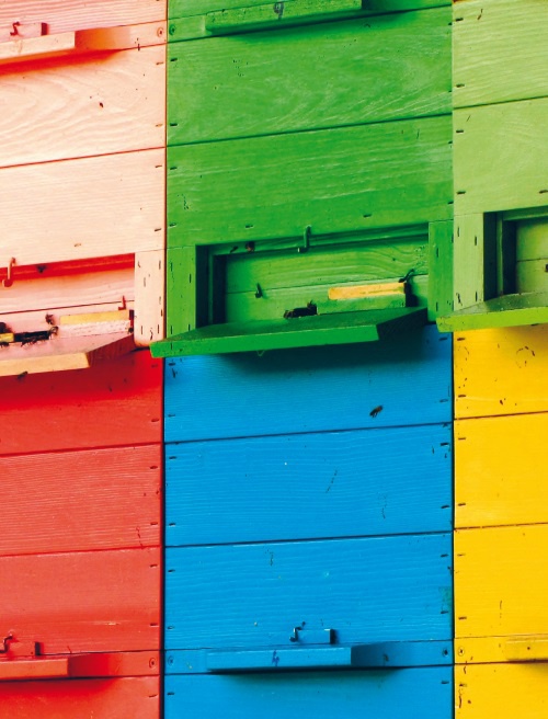 Иллюстрация к книге — Большая книга о счастье [i_027.jpg]