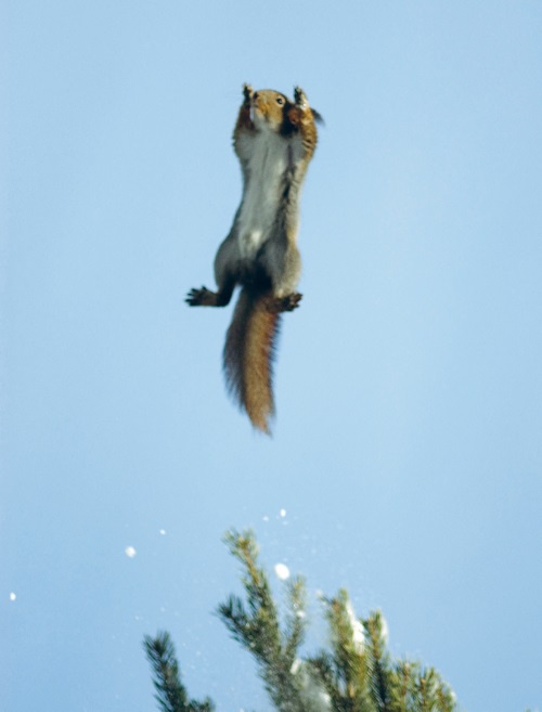 Иллюстрация к книге — Большая книга о счастье [i_046.jpg]