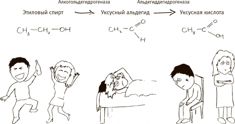 Иллюстрация к книге — Кто бы мог подумать! Как мозг заставляет нас делать глупости [i_019.jpg]