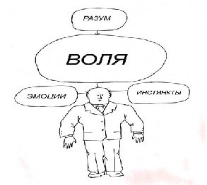 Иллюстрация к книге — Открытое подсознание. Как влиять на себя и других. Легкий путь к позитивным изменениям [image8.jpg]