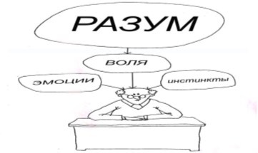 Иллюстрация к книге — Открытое подсознание. Как влиять на себя и других. Легкий путь к позитивным изменениям [image9.jpg]