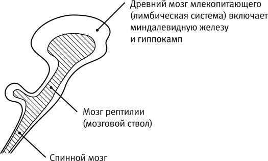 Иллюстрация к книге — Легкий способ начать новую жизнь. Как избавиться от стресса, внутренних конфликтов и вредных привычек [i_001.jpg]