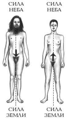 Иллюстрация к книге — Йога и сексуальные практики [i_041.jpg]