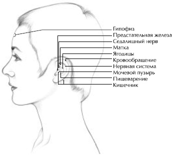 Иллюстрация к книге — Йога и сексуальные практики [i_061.jpg]