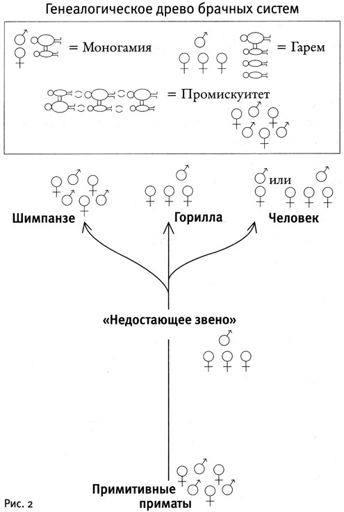 Иллюстрация к книге — Почему нам так нравится секс [i_002.jpg]